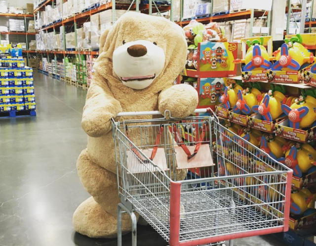 RocketNews24’s giant teddy bear goes looking for some new friends at Costco Japan 【Photos】